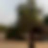 Woman Seeking Man, Girl Photo - Vaniya