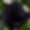 Malayalam member profile Photo, Email, Address and Contact Details - Rajat