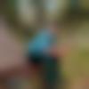 Oriya Dating Male - Pati