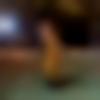 Himachali Dating Female - Rajput