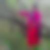 Hindi Dating Female - Anjana