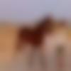 Telugu member profile Photo, Email, Address and Contact Details - R