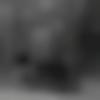 Gujarati member profile Photo, Email, Address and Contact Details - Prakhar