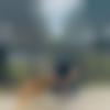 Bhojpuri Dating Male - Tanveer