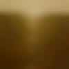 Angika member profile Photo, Email, Address and Contact Details - Sudipa