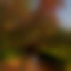 Tulu member profile Photo, Email, Address and Contact Details - Rubal