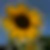 Kutchi member profile Photo, Email, Address and Contact Details - Chhanchhani