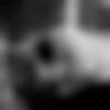 Monpa member profile Photo, Email, Address and Contact Details - Aryan