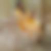 Haryanvi Dating Female - Jharkhand