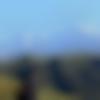 Bihari member profile Photo, Email, Address and Contact Details - Harsh