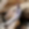 Chhattisgarhi Dating Male - Shiva