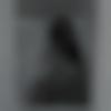 Singhalese Dating Female - Sneha