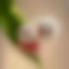 Bengali member profile Photo, Email, Address and Contact Details - Mosque
