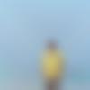 Hindi Dating Male - Ved
