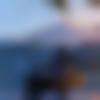 Sindhi member profile Photo, Email, Address and Contact Details - Vivek