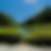 Awadhi Dating Female - Neeti