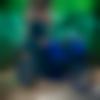 Monpa Dating Male - Abhishek