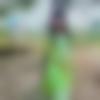 Bihari member profile Photo, Email, Address and Contact Details - ??????