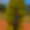 Kanauji Dating Male - Harsh