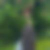 Nicobarese Dating Female - Ashru