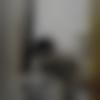 Assamese member profile Photo, Email, Address and Contact Details - Sudipta