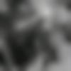 Khandeshi member profile Photo, Email, Address and Contact Details - Gimee