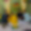 Rajasthani member profile Photo, Email, Address and Contact Details - Avnish