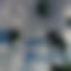 Arunachali member profile Photo, Email, Address and Contact Details - Debashree
