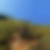 Lepcha member profile Photo, Email, Address and Contact Details - Dr