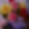 Gujarati Dating Female - Yashi