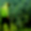 Bhojpuri member profile Photo, Email, Address and Contact Details - Pj