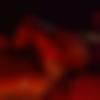 Khandeshi member profile Photo, Email, Address and Contact Details - The