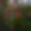Professional Singles Male Photo - Shakir