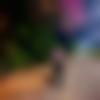 Monpa member profile Photo, Email, Address and Contact Details - Prashant