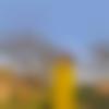 Singhalese member profile Photo, Email, Address and Contact Details - Sanam