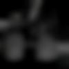 Coorgi member profile Photo, Email, Address and Contact Details - Satyam