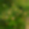 Kanauji Dating Male - Chandu