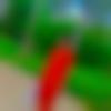 Arunachali Dating Male - Bharat