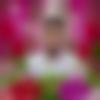 Sindhi Dating Male - Bablu
