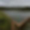 Manipuri member profile Photo, Email, Address and Contact Details - Miaz