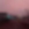 Magahi member profile Photo, Email, Address and Contact Details - Faisal
