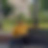 Sinhalese Dating Male - Sangram