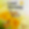 Haryanvi member profile Photo, Email, Address and Contact Details - Anu