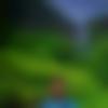 Dhivehi member profile Photo, Email, Address and Contact Details - Mandeep