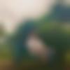 Marwari Dating Male - Aakash