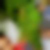 Kolar Male Photo - Gowwda