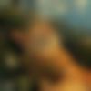 Single Female - Sweta