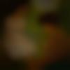 woman seeking men Virudhachalam near me photo - Sivaranjani