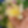 woman seeking men Lakshadweep photo - Sipra