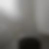 Male Photo - Sham